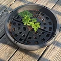 Tấm Chắn Chậu Cây (Plant Pot Guard) - Thumbnail 2