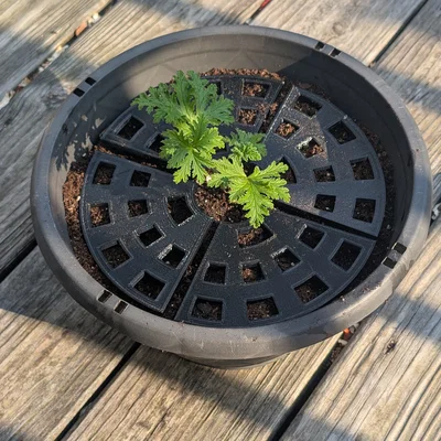 Tấm Chắn Chậu Cây (Plant Pot Guard)