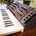 DCAPS cho Arturia Keystep và Behringer Model-D - Thumbnail 5