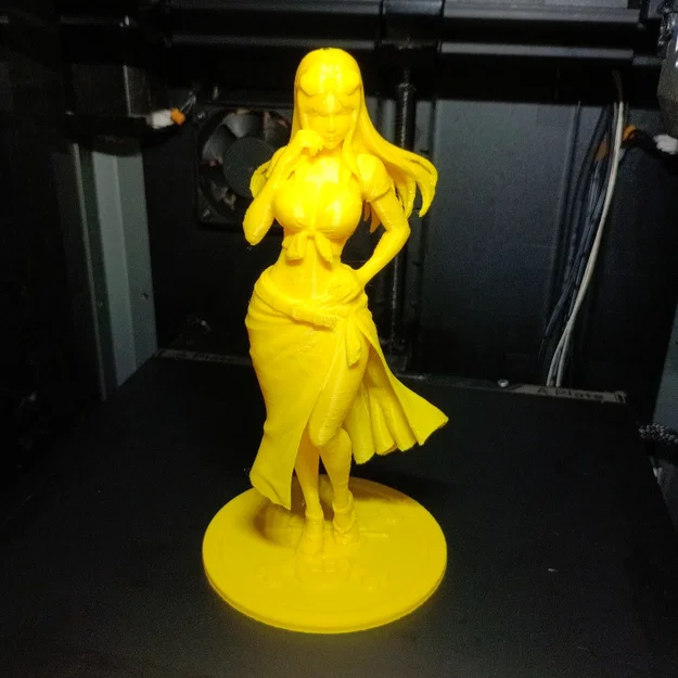 Nico Robin (One Piece) - Mẫu Tượng 3D Chi Tiết - Image 2