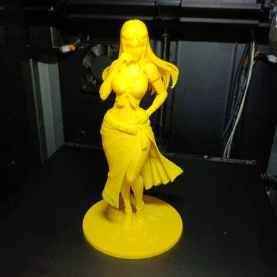 Nico Robin (One Piece) - Mẫu Tượng 3D Chi Tiết