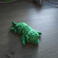 Chó Flexi Maltipoo - Cún Con Dễ Thương Khớp Linh Hoạt - Thumbnail 2