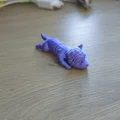 Flexi Yorkie – Chó Yorkie khớp linh hoạt in 3D - Thumbnail 1