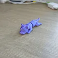 Flexi Yorkie – Chó Yorkie khớp linh hoạt in 3D - Thumbnail 2