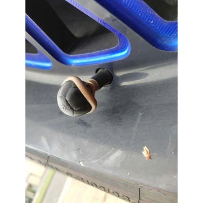 Nắp van xe máy hình mai rùa Turtle Shell Valve Cap in 3D cực chất