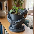 Chậu Trồng Cây Hình Rồng Fantasy – Giá Đỡ Cây Trang Trí Trong Nhà - Thumbnail 1