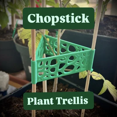 Khung đỡ cây bằng đũa (Chopstick plant support trellis)