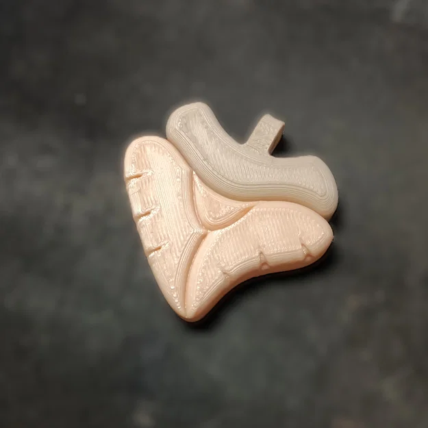 Mặt Dây Chuyền Maggie Mako (Maggie Mako Pendant) - Image 2