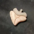 Mặt Dây Chuyền Maggie Mako (Maggie Mako Pendant) - Thumbnail 2