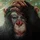 Robert_1703562
