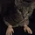 rene_1610583