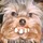 Pixelwhiz_516892