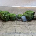 DungeonSticks forest modular tabletop terrain – Bộ terrain rừng lắp ghép - Thumbnail 8