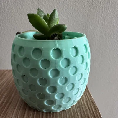 Chậu trồng cây sen đá họa tiết chấm bi (Polka Dots Pot) in 3D