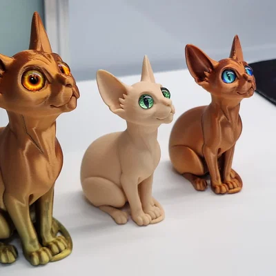 Mèo Sphynx gắn mắt kính (glass eyes)