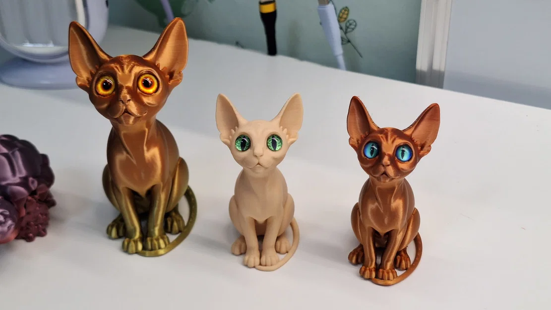 Mèo Sphynx gắn mắt kính (glass eyes) - Image 2