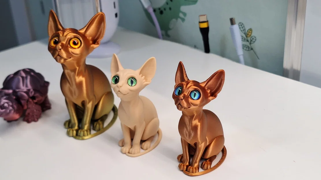 Mèo Sphynx gắn mắt kính (glass eyes) - Image 3