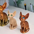 Mèo Sphynx gắn mắt kính (glass eyes) - Thumbnail 3