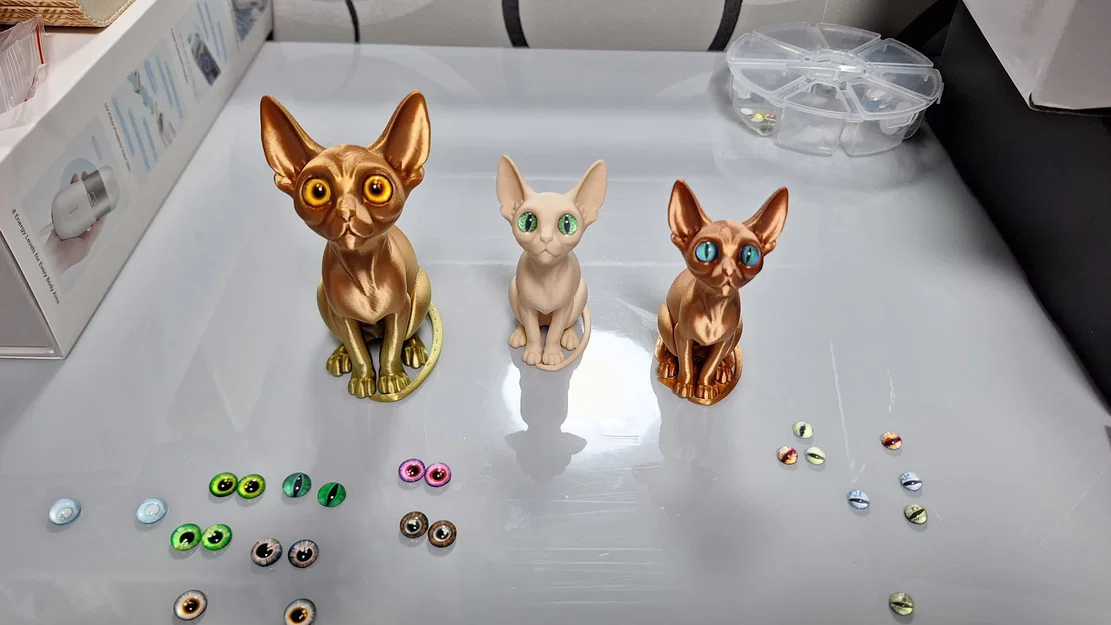Mèo Sphynx gắn mắt kính (glass eyes) - Image 4