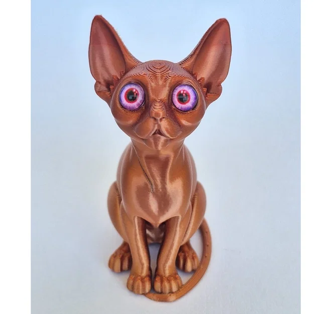 Mèo Sphynx gắn mắt kính (glass eyes) - Image 5