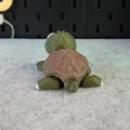 Rùa Dễ Thương Khớp Nối (Articulated Cute Turtle) - Thumbnail 14