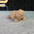 Rùa Dễ Thương Khớp Nối (Articulated Cute Turtle) - Thumbnail 15