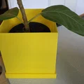 Chậu cây vuông kèm khay hứng nước (có thoát nước) - Thumbnail 2