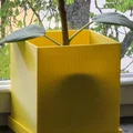 Chậu cây vuông kèm khay hứng nước (có thoát nước) - Thumbnail 3