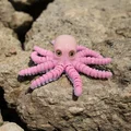 Flexi Octopus – Tương thích mắt kính / Không cần supports - Thumbnail 1