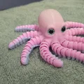 Flexi Octopus – Tương thích mắt kính / Không cần supports - Thumbnail 19