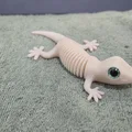 Super Flexi Gecko - Tương thích mắt kính 6mm + 8mm - Thumbnail 3
