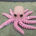 Flexi Octopus – Tương thích mắt kính / Không cần supports - Thumbnail 20
