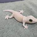 Super Flexi Gecko - Tương thích mắt kính 6mm + 8mm - Thumbnail 4