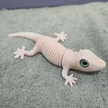 Super Flexi Gecko - Tương thích mắt kính 6mm + 8mm - Thumbnail 5
