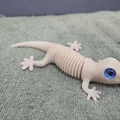 Super Flexi Gecko - Tương thích mắt kính 6mm + 8mm - Thumbnail 6