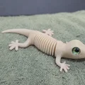 Super Flexi Gecko - Tương thích mắt kính 6mm + 8mm - Thumbnail 7