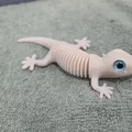 Super Flexi Gecko - Tương thích mắt kính 6mm + 8mm - Thumbnail 8