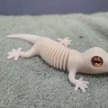 Super Flexi Gecko - Tương thích mắt kính 6mm + 8mm - Thumbnail 9