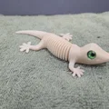 Super Flexi Gecko - Tương thích mắt kính 6mm + 8mm - Thumbnail 10