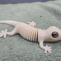 Super Flexi Gecko - Tương thích mắt kính 6mm + 8mm - Thumbnail 12