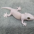 Super Flexi Gecko - Tương thích mắt kính 6mm + 8mm - Thumbnail 13