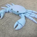 Cua khớp nối (Articulated Crab) – tương thích mắt thủy tinh 6mm & 8mm - Thumbnail 5