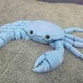Cua khớp nối (Articulated Crab) – tương thích mắt thủy tinh 6mm & 8mm - Thumbnail 7