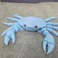 Cua khớp nối (Articulated Crab) – tương thích mắt thủy tinh 6mm & 8mm - Thumbnail 8