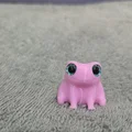 Ếch (Frog) - Tương thích mắt kính 6mm + 8mm - Thumbnail 5
