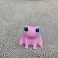 Ếch (Frog) - Tương thích mắt kính 6mm + 8mm - Thumbnail 6