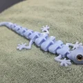 Thằn Lằn Khớp Nối (Articulated) – Tương thích mắt thủy tinh 6mm + 8mm - Thumbnail 6