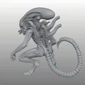 Xenomorphe - Star Stalker - Bio-Mechanical Predator - Pre-Supported - Thumbnail 3