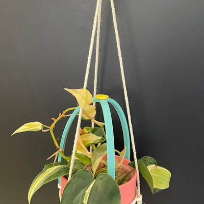 Hệ treo mô-đun cho chậu cây IKEA FÖRENLIG 9cm