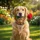 Zaold93_2230950